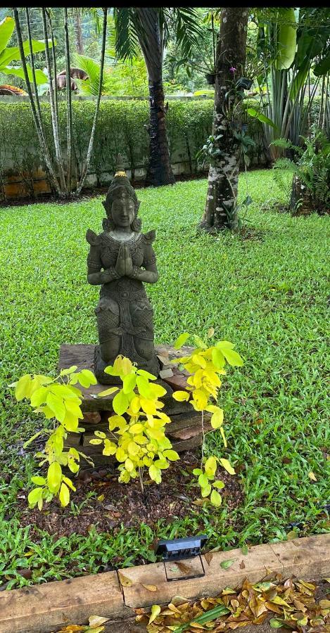 B&B Forest Hill Khao Yai Noen Hom Dış mekan fotoğraf